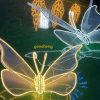 led park butterfly lighting